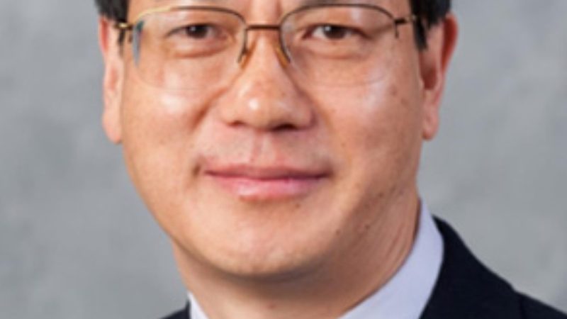 电子元件批发价格低的关键要素揭秘
