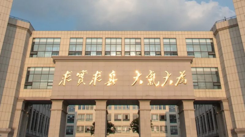 上海二极管批发市场：价格波动背后的市场逻辑**
