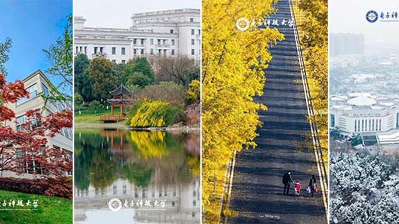 电子产品加盟代理合同模板：关键要素解析与注意事项