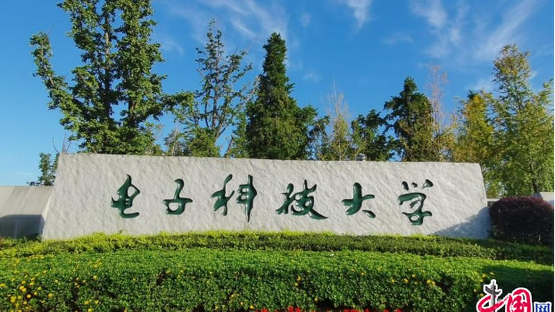 电子产品选型：揭秘适合哪些行业的关键因素**