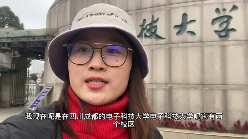 开关二极管与整流二极管：关键特性与应用差异
